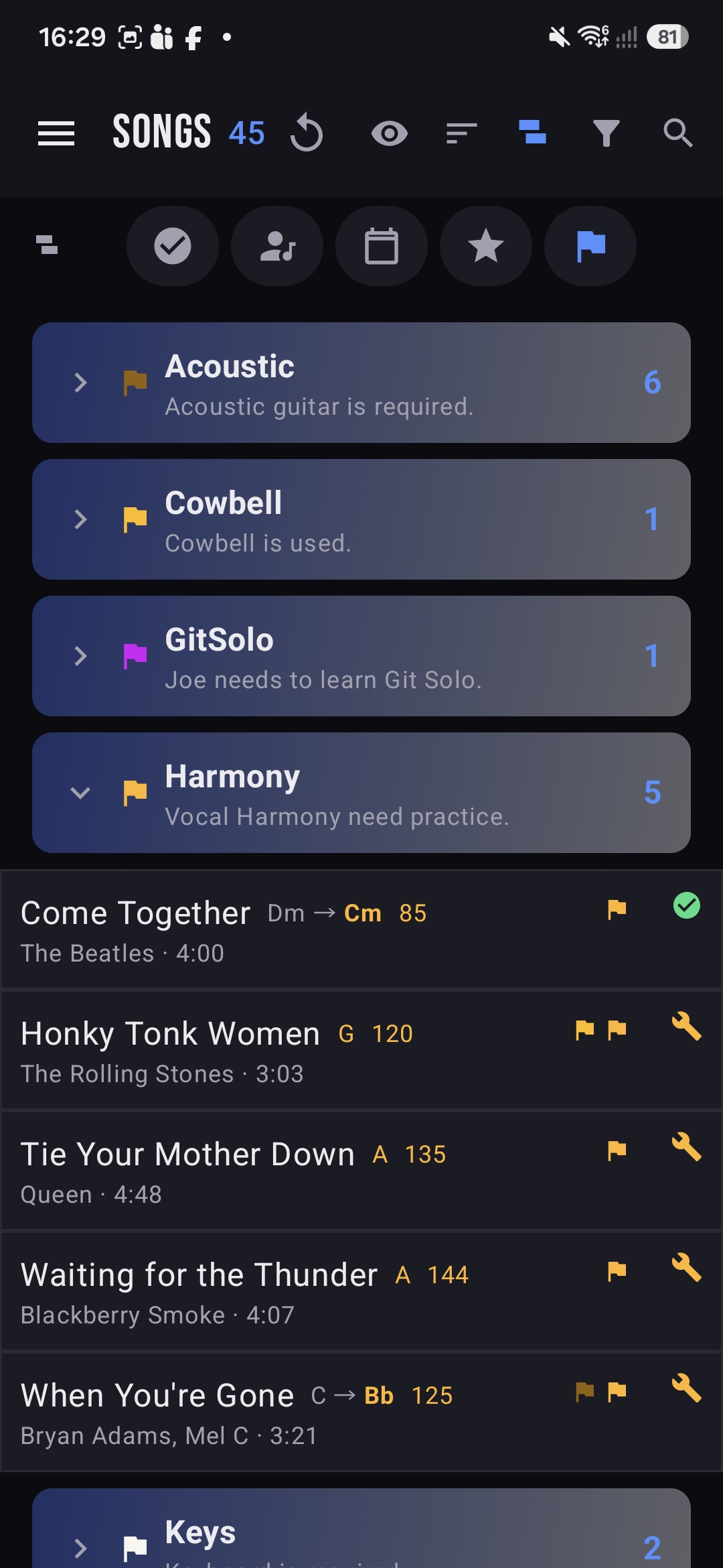 Songs grouped by flag with counts
